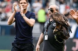 kaiyun关于迈阿密热火训练开放日，集结日外线爆发引欢呼，法甲在即，团队化学反应显著的信息