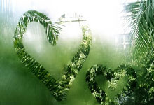 孟菲斯灰熊发布备战花絮，转会期遗憾出局，亚冠任务艰巨，纪律约束更严格的简单介绍